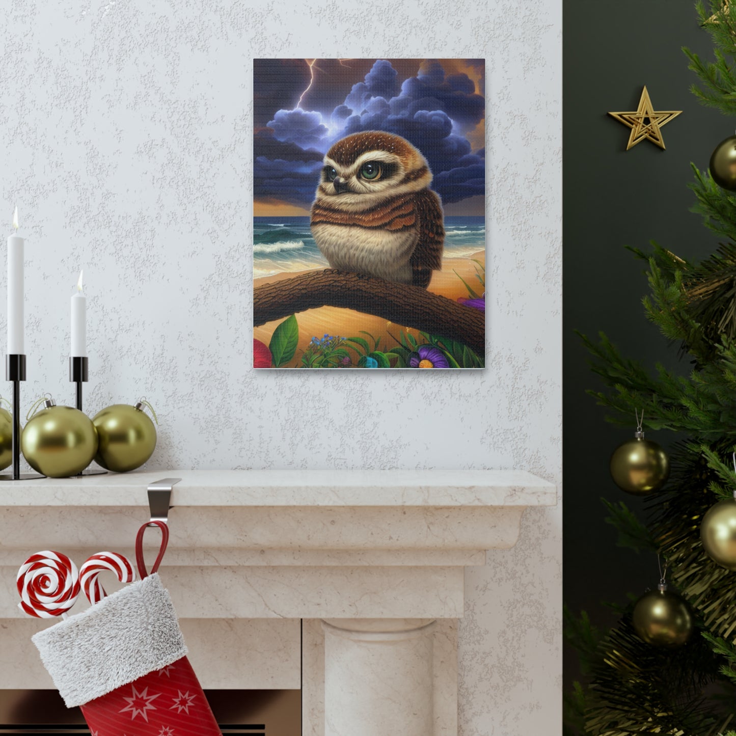 Florida Owl  - Canvas Wall Art