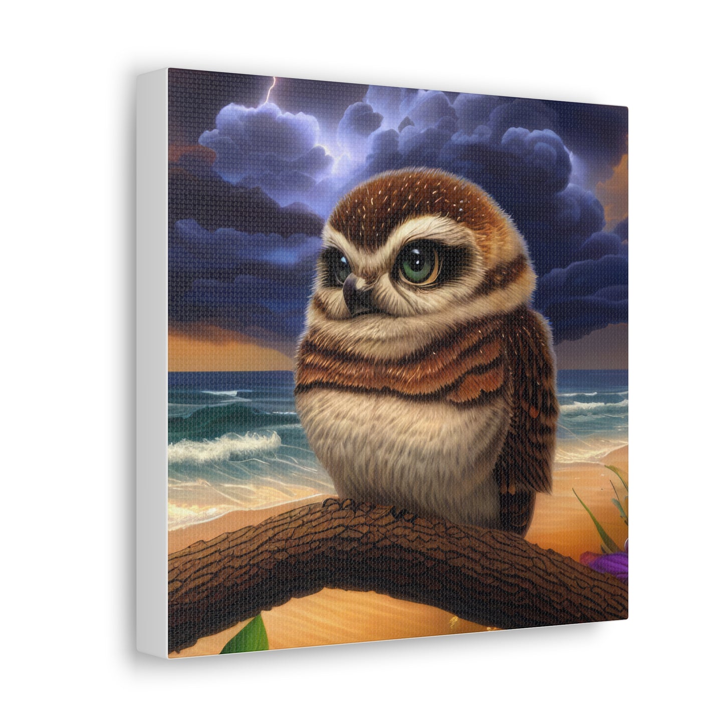 Florida Owl  - Canvas Wall Art