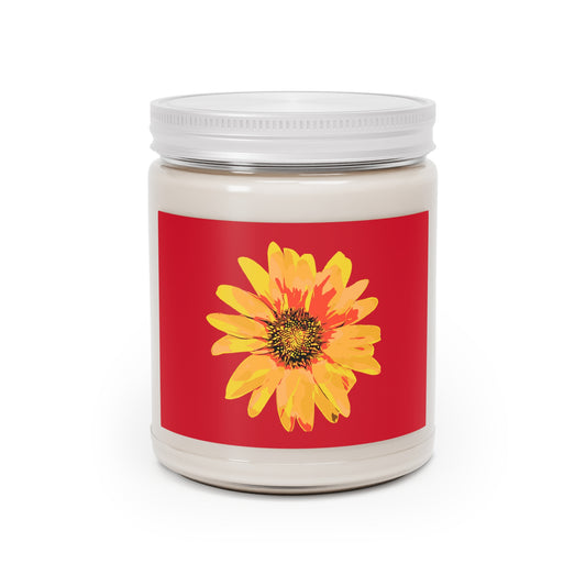 Sunflower Comfort Spice Scented Candle 9oz