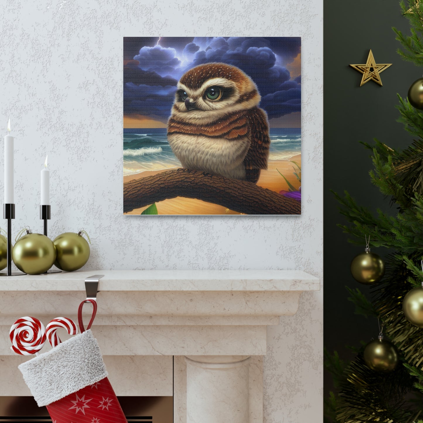 Florida Owl  - Canvas Wall Art