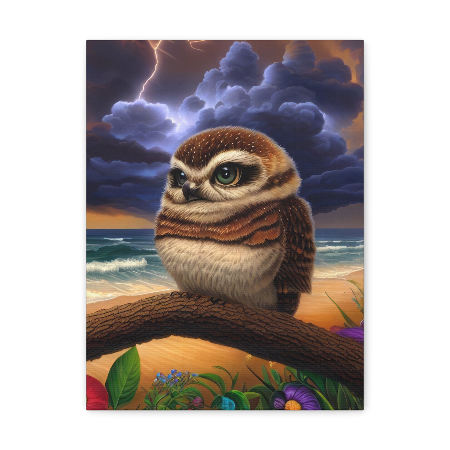 Florida Owl  - Canvas Wall Art