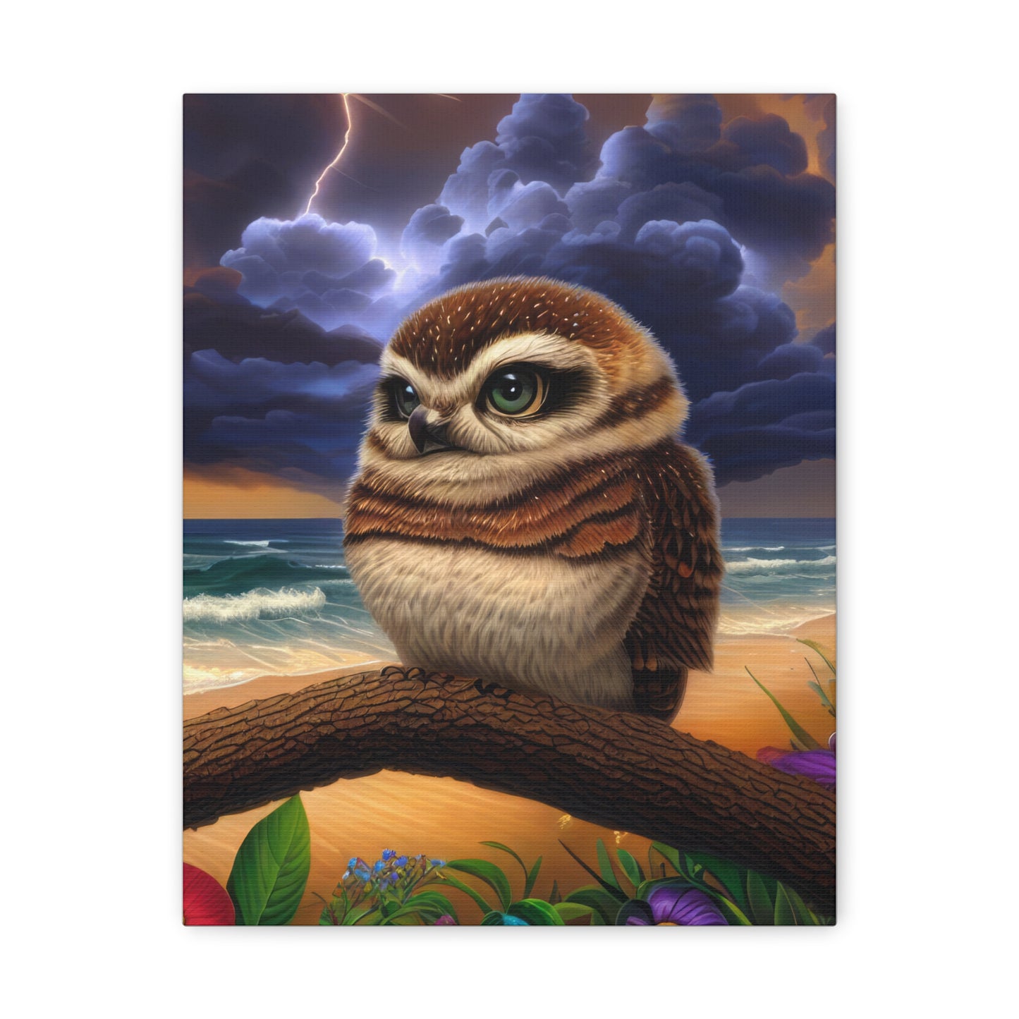 Florida Owl  - Canvas Wall Art