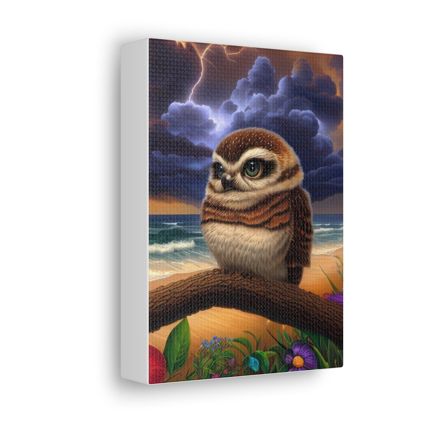 Florida Owl  - Canvas Wall Art