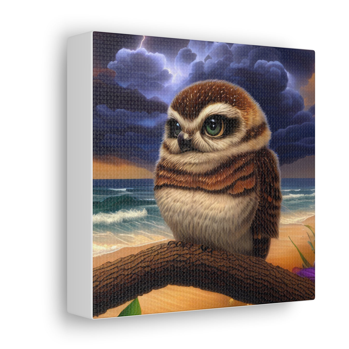 Florida Owl  - Canvas Wall Art