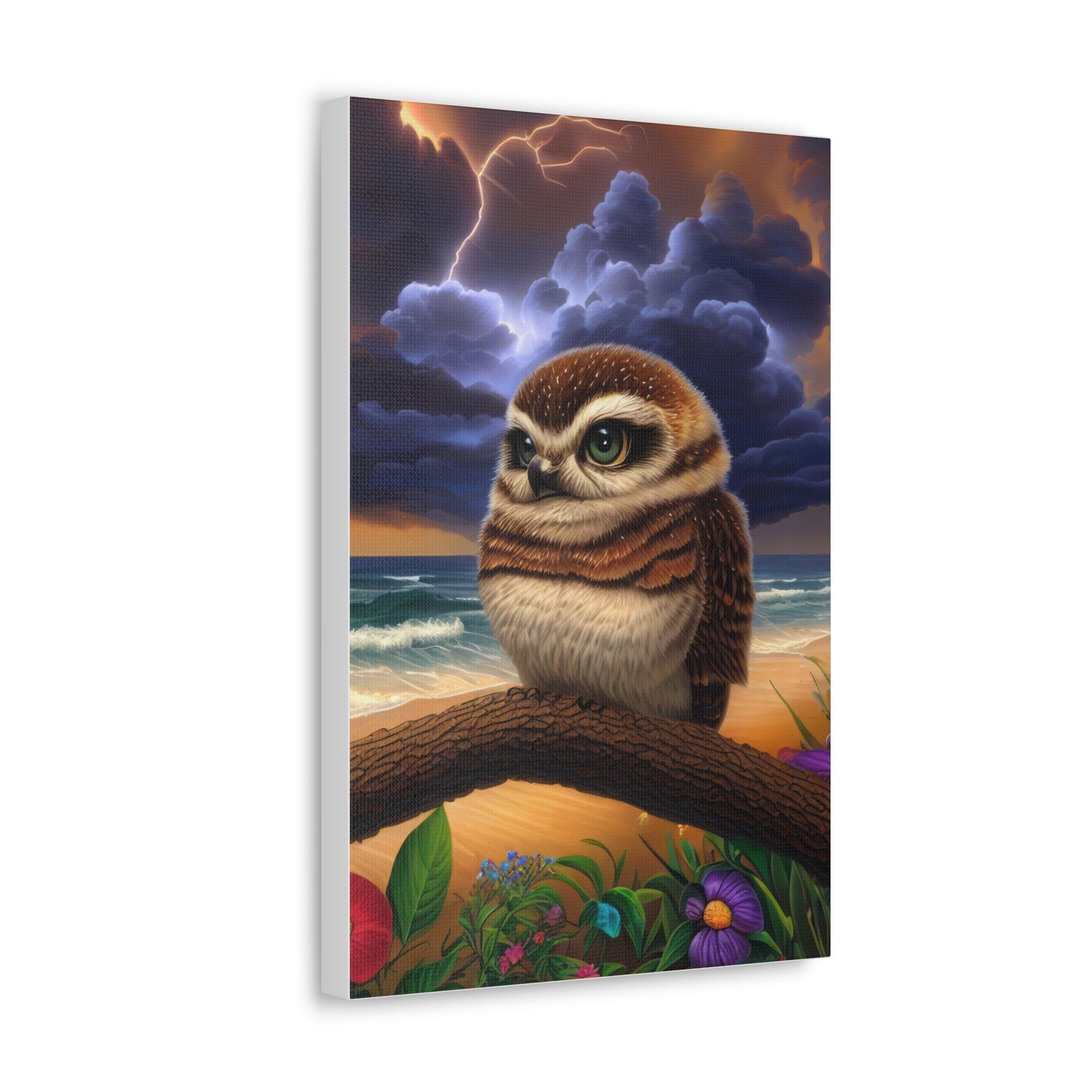 Florida Owl  - Canvas Wall Art