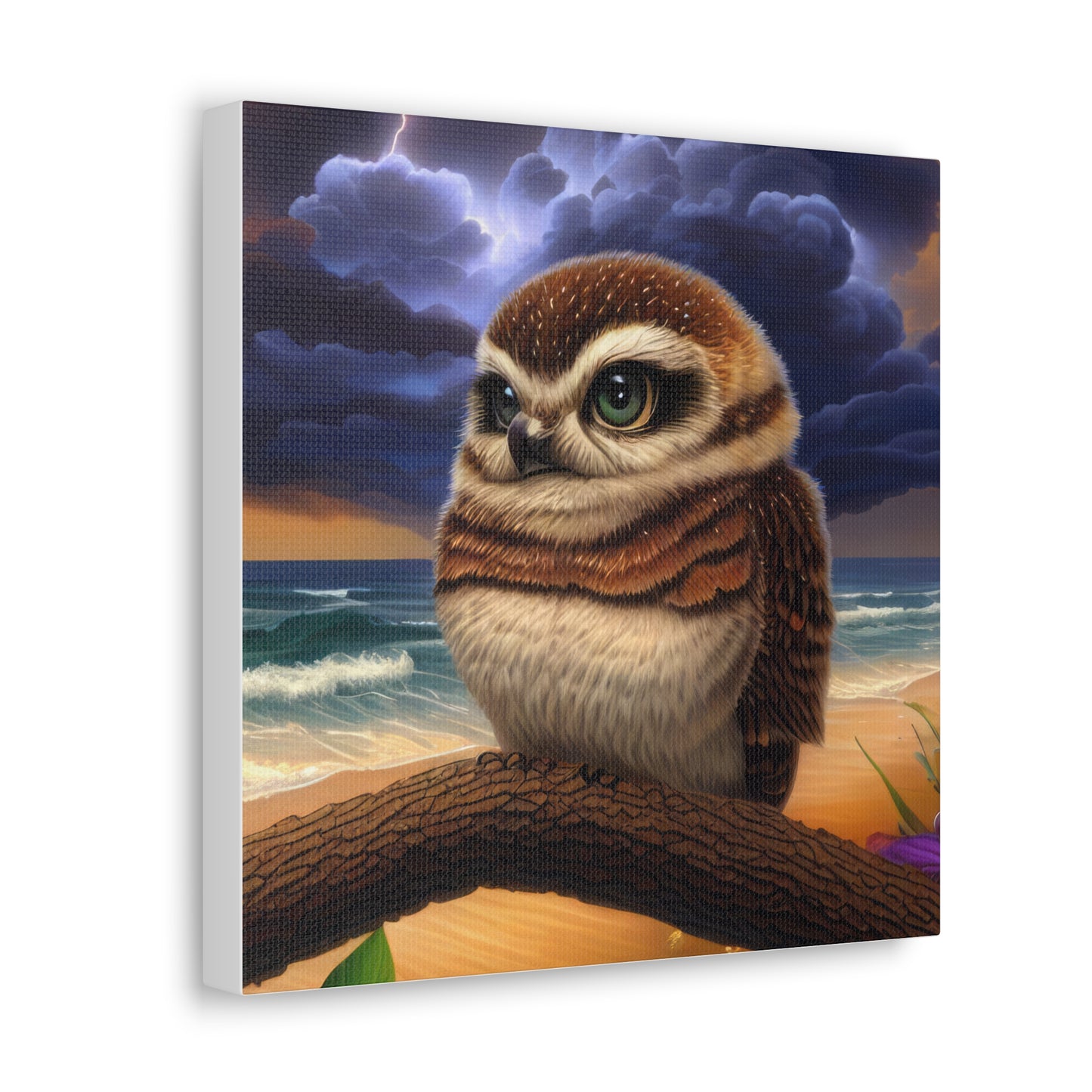 Florida Owl  - Canvas Wall Art