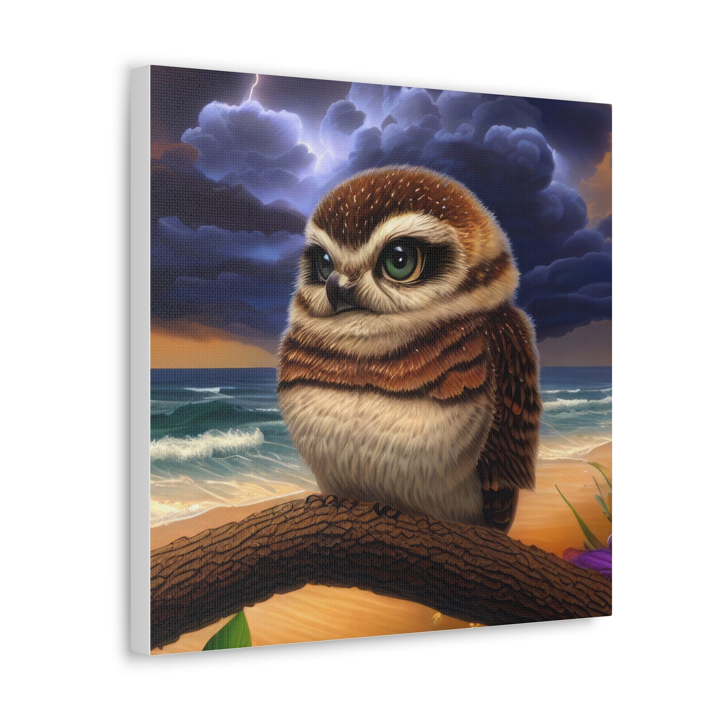 Florida Owl  - Canvas Wall Art