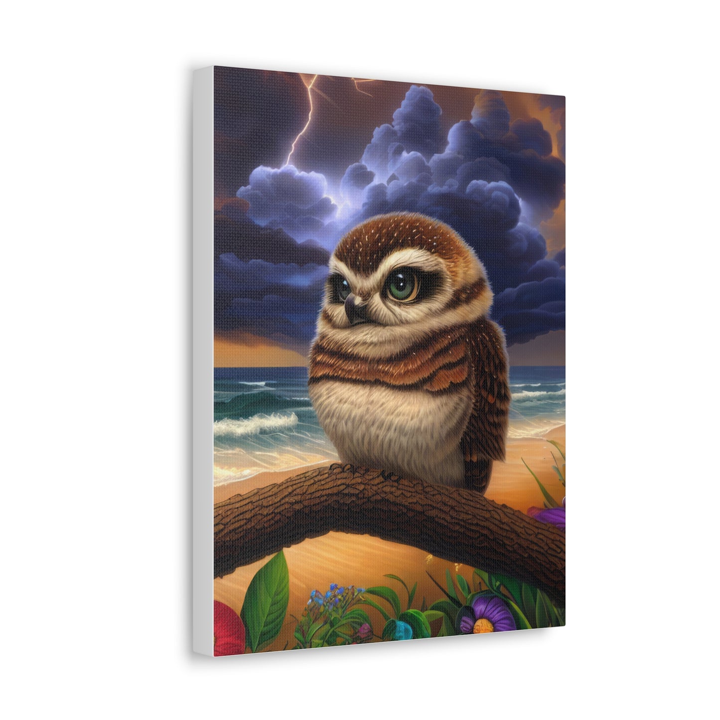 Florida Owl  - Canvas Wall Art