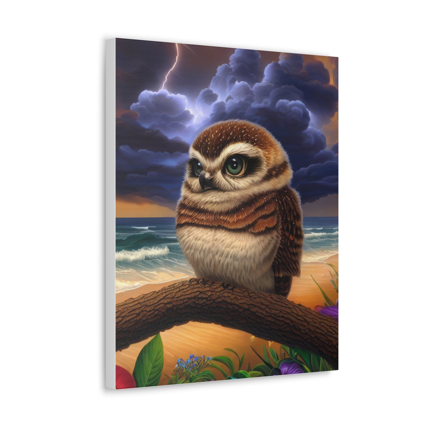 Florida Owl  - Canvas Wall Art