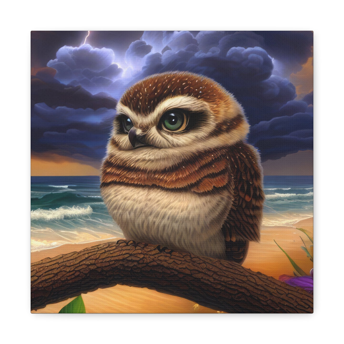 Florida Owl  - Canvas Wall Art