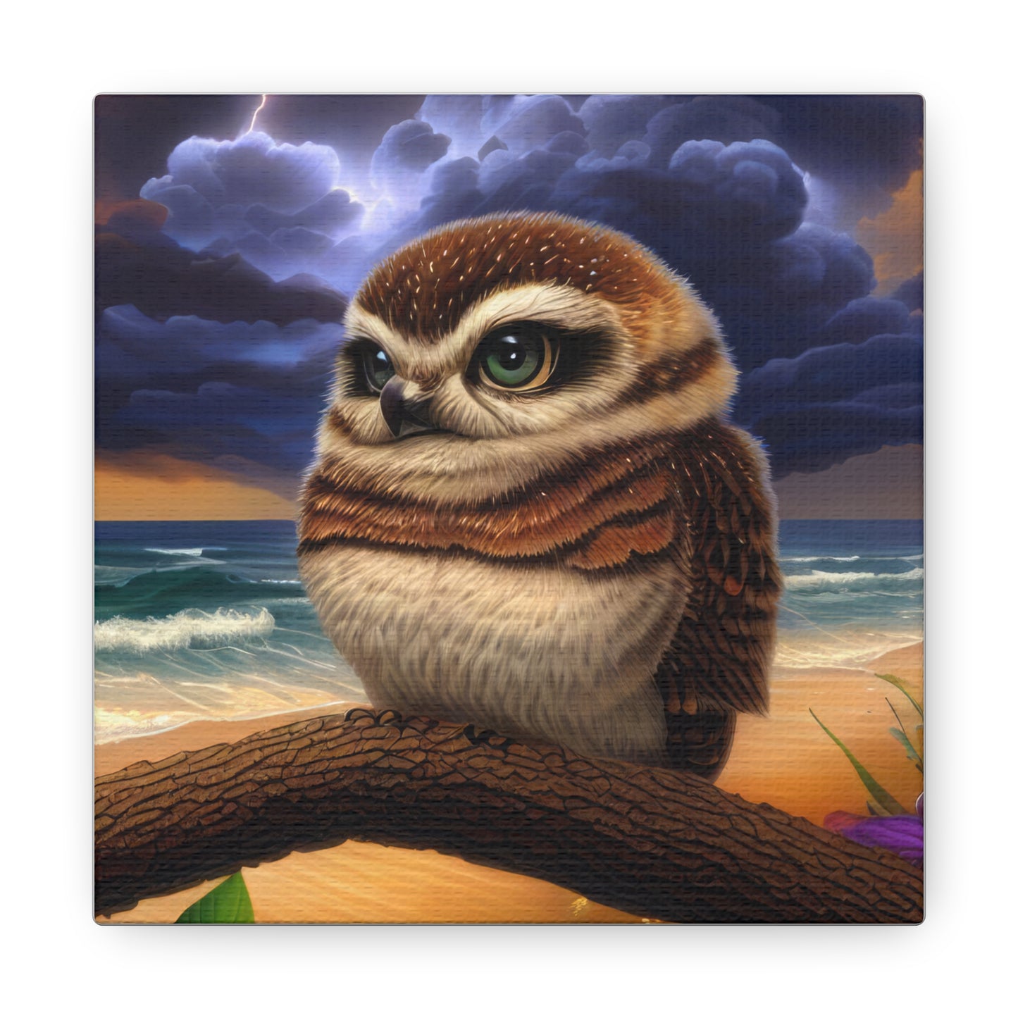 Florida Owl  - Canvas Wall Art